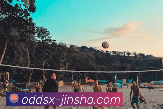 澳门金沙官网APP 封面图